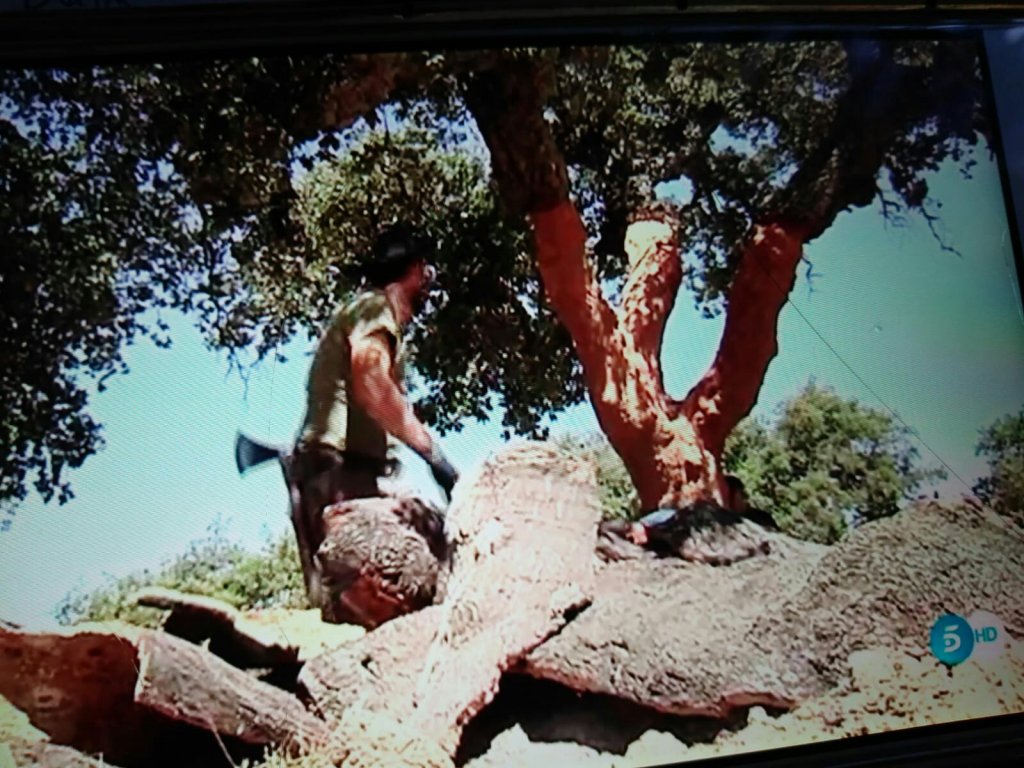 telecinco #robcork #corcho24 #corcho