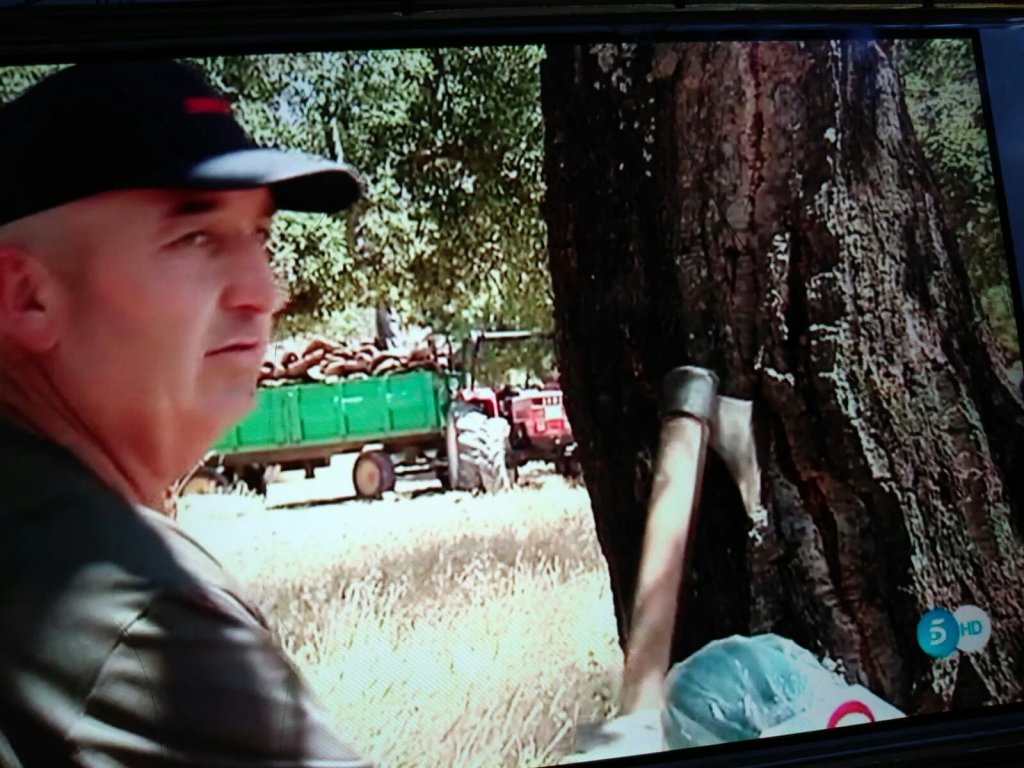 telecinco #robcork #corcho24 #corcho