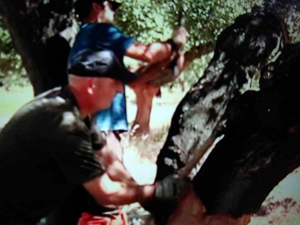 telecinco #robcork #corcho24 #corcho